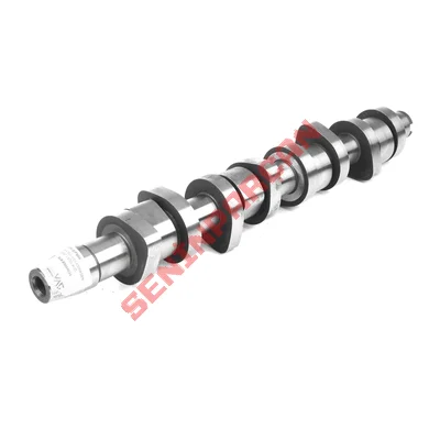 038109101K - EKSANTRİK MİLİ - Aftermarket