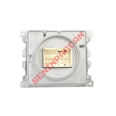 7PP941571A - ZENON BEYNİ