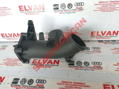 03C145861D - GAZKELEBEGIAGZI