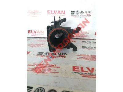 03C145861D - GAZKELEBEGIAGZI