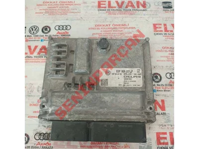 03P906021P - HARARET MUSIRI