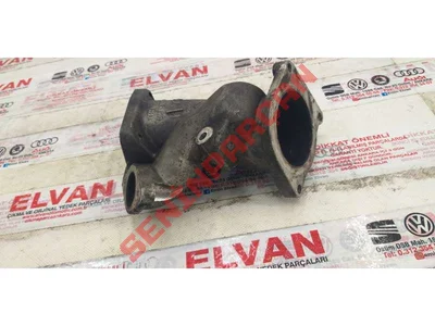 059145997H - GAZKELEBEGIAGZI