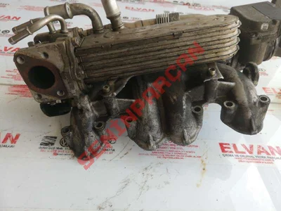 03G129713 - EMME AGZI