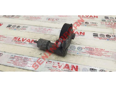 038145283 - AVARA KASNAĞI TUTUCUSU