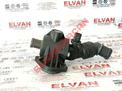 06F121111 - TERMOSTAT