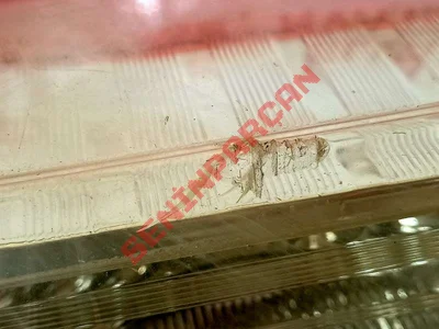 265550023R - STOP LAMBASI - Used Original