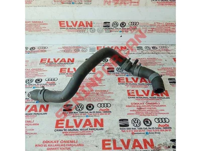 1S0122157C - HORTUMSU