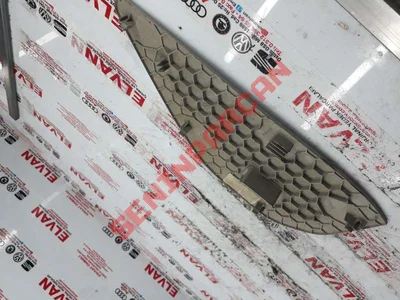 5NN858217 - KORUYUCU