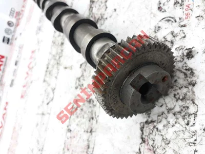 059109102 - EKSANTİRİK - Used Original