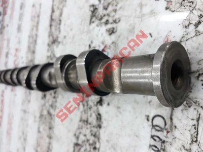 06D109102AK - NOCKENWELLE AUSLASS