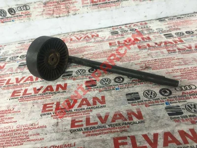 028903308C - LEVYEALTKAYISGERD - Used Original