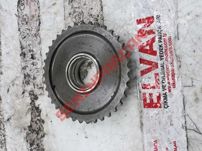 059109229J - EKSANTRIK ZINCIRI