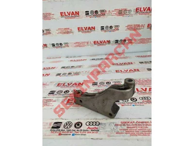 02N409905 - ŞANZIMAN KULAĞI