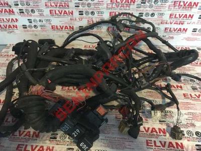 8A0937530 - SIS FARI