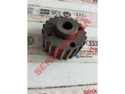 068105263C - TRIGER KAYIŞI KASNAĞI