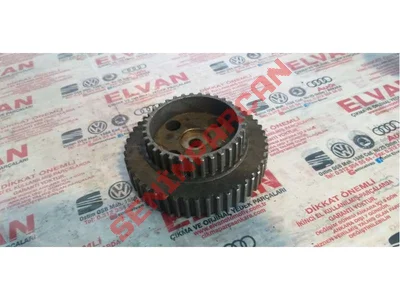 036109111C - TRIGER KAYIŞI KASNAĞI