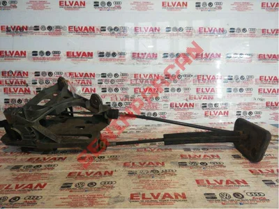 7H1711877Q - VITES TELI