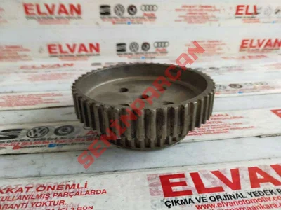 036109111P - TRIGER KAYIŞI KASNAĞI