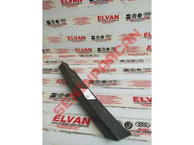 4B5853377E - C DIREĞI KORUYUCUSU