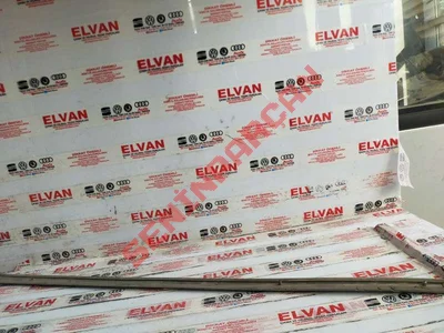 8E0853953 - KAPI KORUMA ÇITASI