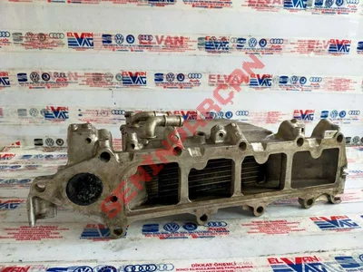 04L129766Q - KAYIS KAPAGI - Used Original