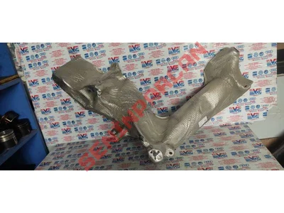 5QF201307A - GERME BANDI