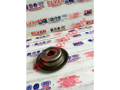 01J323945 - YAYLI PUL