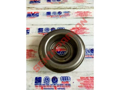 01J323945 - YAYLI PUL