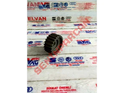 036105263L - TRIGER KAYIŞI KASNAĞI