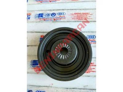 04C105243T - KASNAK DISLISI