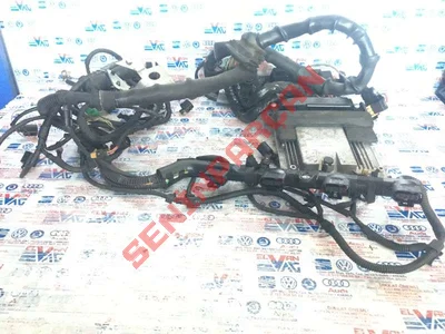 06H971824P - KABLO KANALI - Used Original