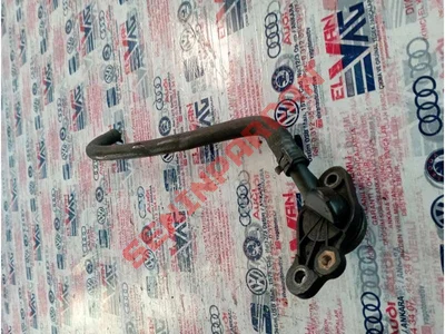 06K121132 - HAVA ALMA AGZI