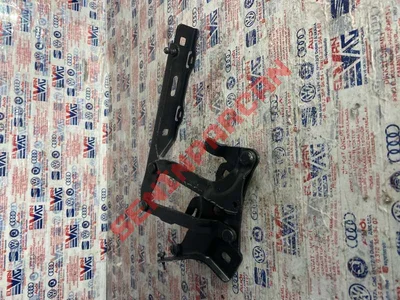 8W0823302D - KAPUT MENTESESI