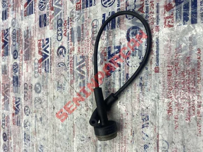 037133843A - GERIDONUSHORTUMU