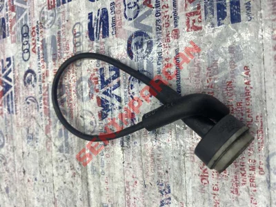 037133843A - GERIDONUSHORTUMU