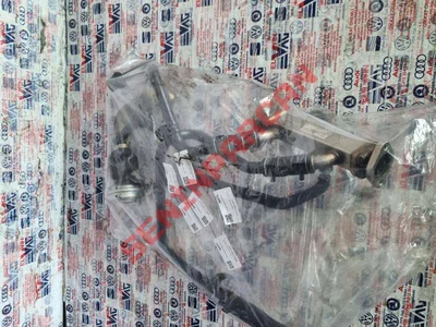 059121058E - SOGUTMAHORTUMU