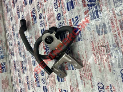 030103493BQ - HAVA ALMA HORTUMU