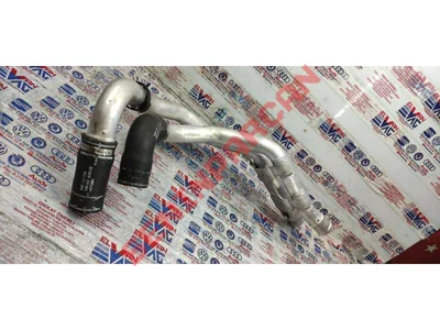 04E121151D - SOGUTMASIVISIHORTUMU