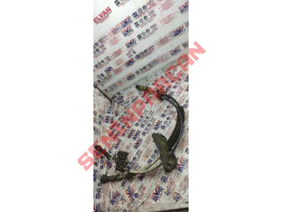 7H1711877G - VITES TELI