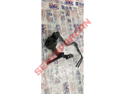 059906629A - KAPAKVALFSELENOID