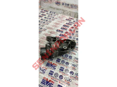 03C145299L - GERME ELEMANI