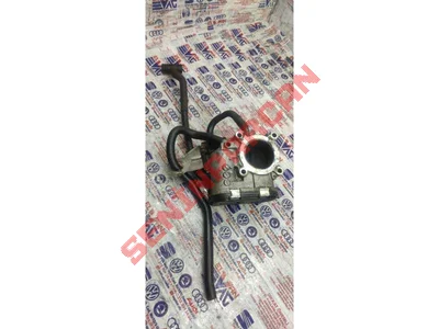 030103493CT - HAVA ALMA HORTUMU