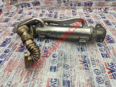 038131513H - EGRSOGUTUCUSU