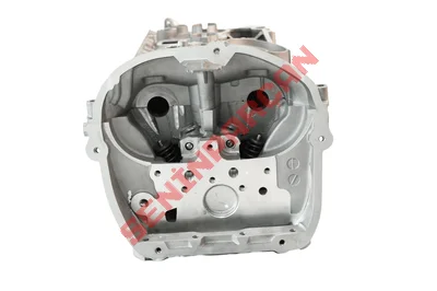 06H103064L - SİLİNDİR KAPAK 2.0 TFSI SİBOPLARI ÜZERİNDE