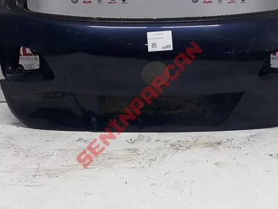 7P6827025 - BAGAJ KAPAGI