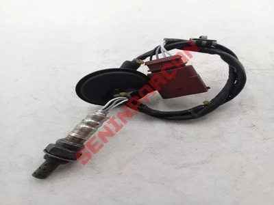 036906265H - LAMBDA SONDASI