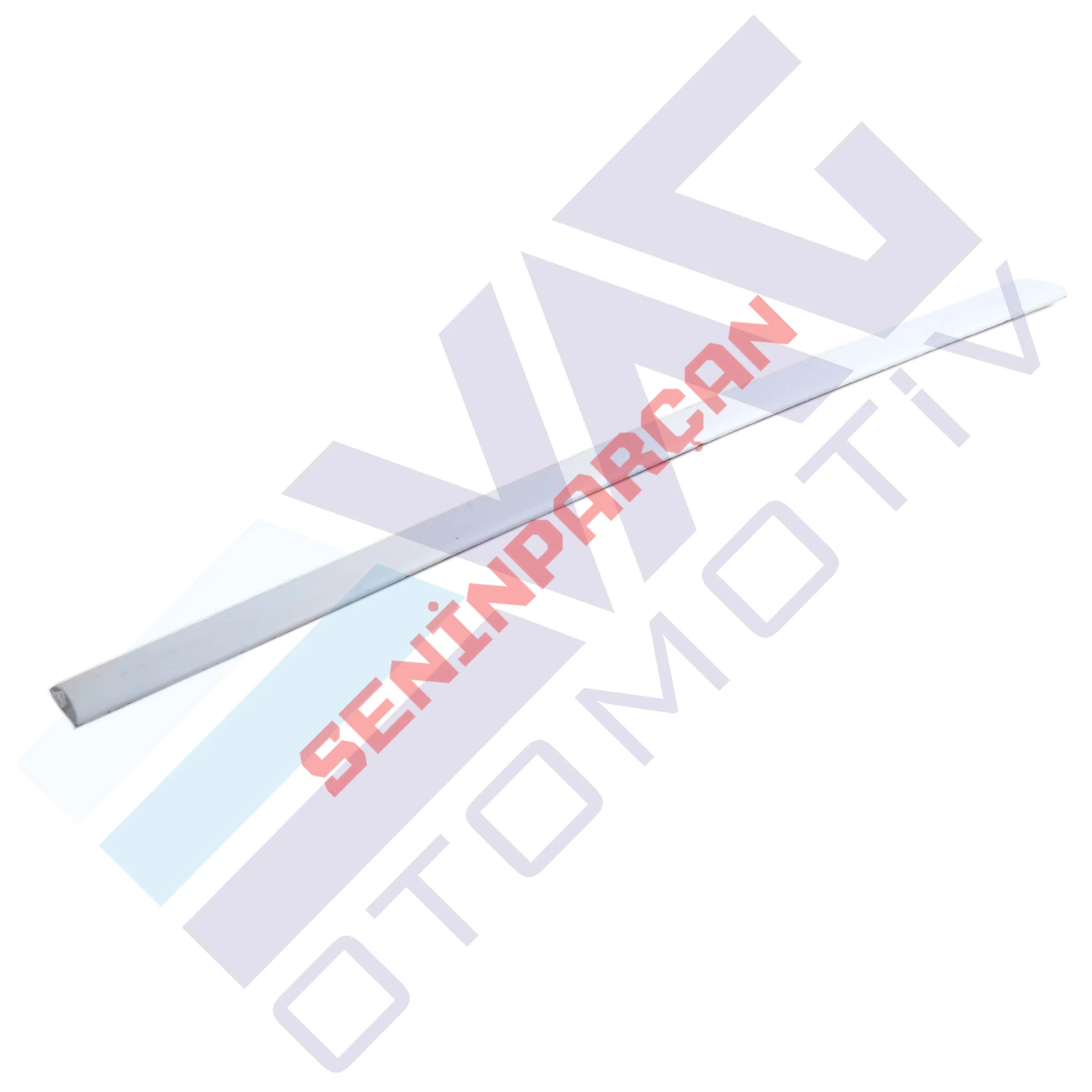 6N4853074AGRU - KAPI KORUMA ÇITASI