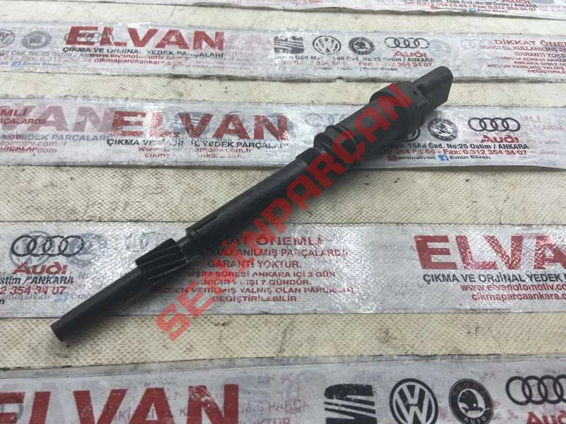 095409193A - PİNYON YATĞ