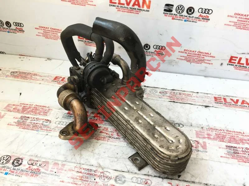 038131513J - EGZOZGAZISOGUTUCUS