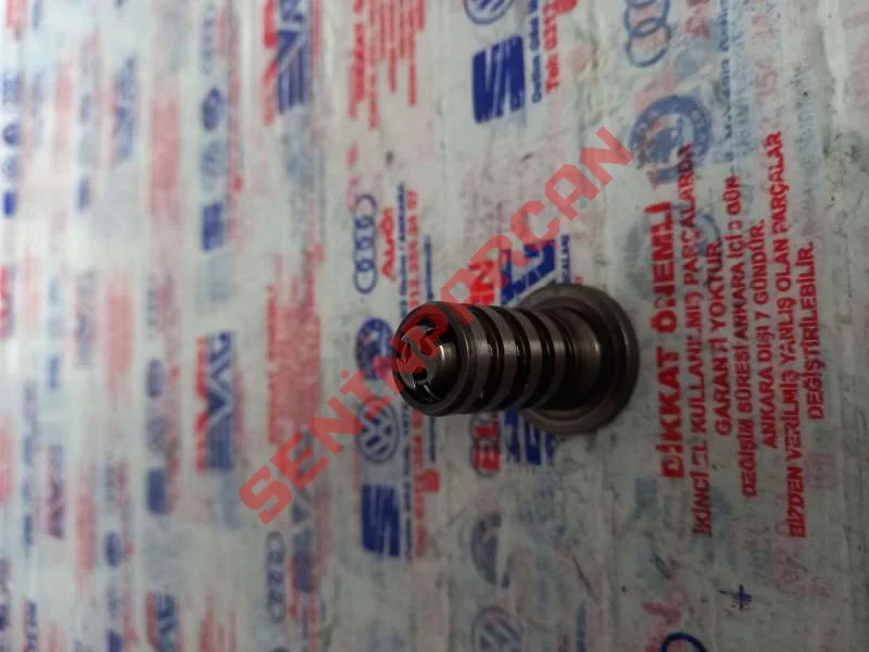 06H109257A - KONTROL VALFI